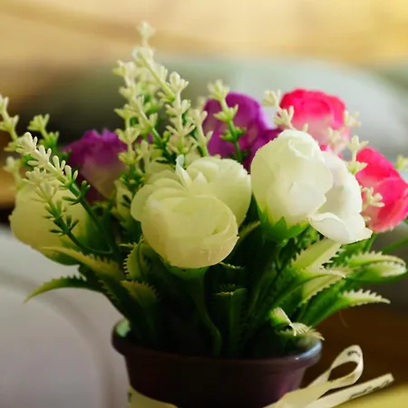 The Blackpeak View *